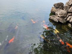 -承德避暑山庄景区