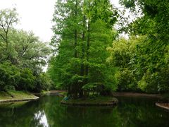 -上海共青森林公园