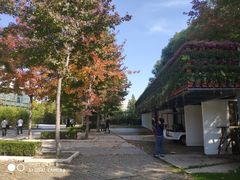 -上海植物园·停车场