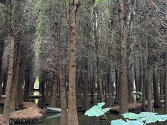 -捞渔河湿地公园