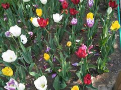 -金逸影城(中关村店)