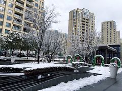 -仁恒西郊花园