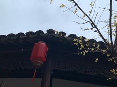-檀园