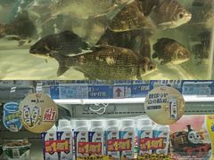 -世纪联华超市(凤起店)