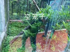 -碧峰峡风景区