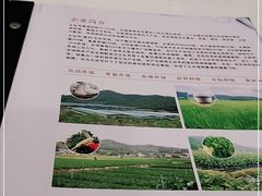 -五谷芳乳鸽王(海景店)