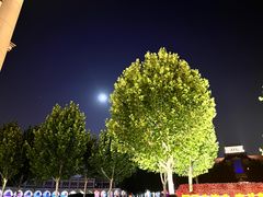 -民园广场