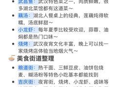 -武汉知音号