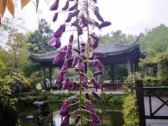 -东航云逸酒店(九溪烟树店)
