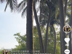 -海上田园