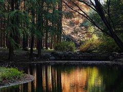 -上海共青森林公园