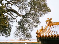 -故宫博物院(故宫)