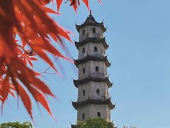 -江心屿景区
