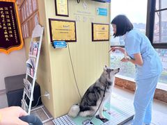 -谐和贝康宠物医院24小时·宠保定点(急重症转诊中心)