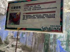 -杭州野生动物世界