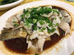 特色香葱淋鲈鱼-粤·向群饭店(泮塘路店)
