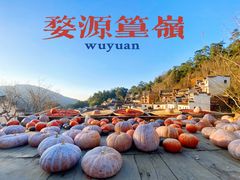 -篁岭景区