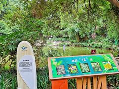 -成都市活水公园