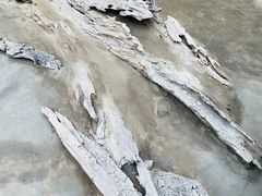 -金沙遗址博物馆
