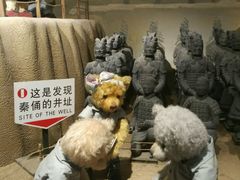 -成都泰迪熊博物馆