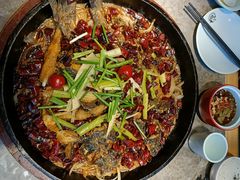 -老板恋上鱼(恒隆广场店)