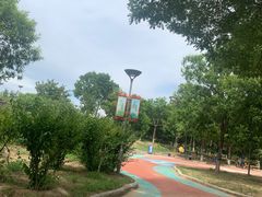 -大兴滨河森林公园