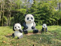-南宁市动物园