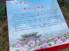 -曹州牡丹园