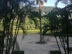 -广州凤凰城酒店-维也纳西餐厅