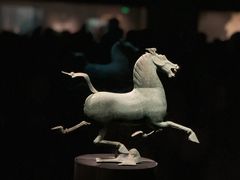 -甘肃省博物馆