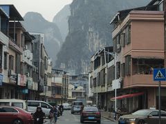 -银峰农庄·特色烧鸡·鲜无花果浸鸡