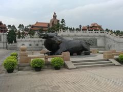 -广东圆玄道观
