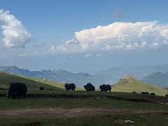 -灵山