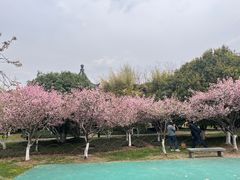 -明故宫遗址公园