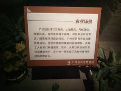 -广东革命历史博物馆办公楼