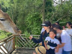 -泉州海丝野生动物世界