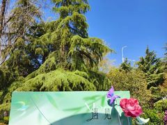 -青岛鑫江温德姆酒店
