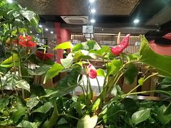 -洞庭家宴·头牌甲鱼(广渠门店)