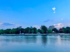 -八次方密云水库鱼粘卷子·熏鸽子·农家菜