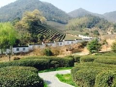 iphone_upload_pic-余姚阳明温泉山庄