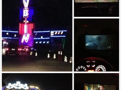 -枫花园汽车电影院(朝阳公园店)