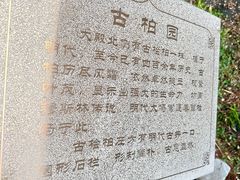 -松江清真寺