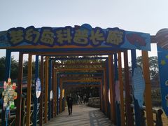 -南湖梦幻岛