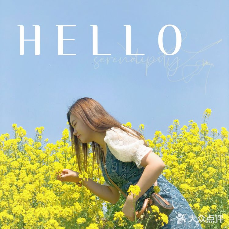 在天津也有【故事里的小黄花🌼】人少景美不要票！