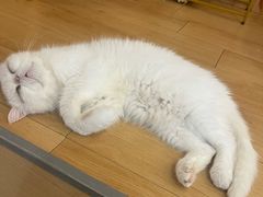 -小小班私人影院·猫咖(万达茂广场店)