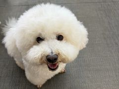 -恒幸动物医院·急重症转诊中心·神经内外科·CT核磁