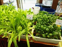 -海岛渔村大酒店(云霄路店)