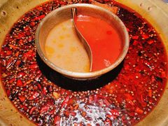 -哥老官重庆美蛙鱼头(日月光店)