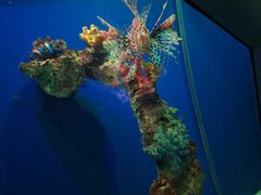 -海合安武汉极地海洋公园