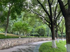 -后襄河公园